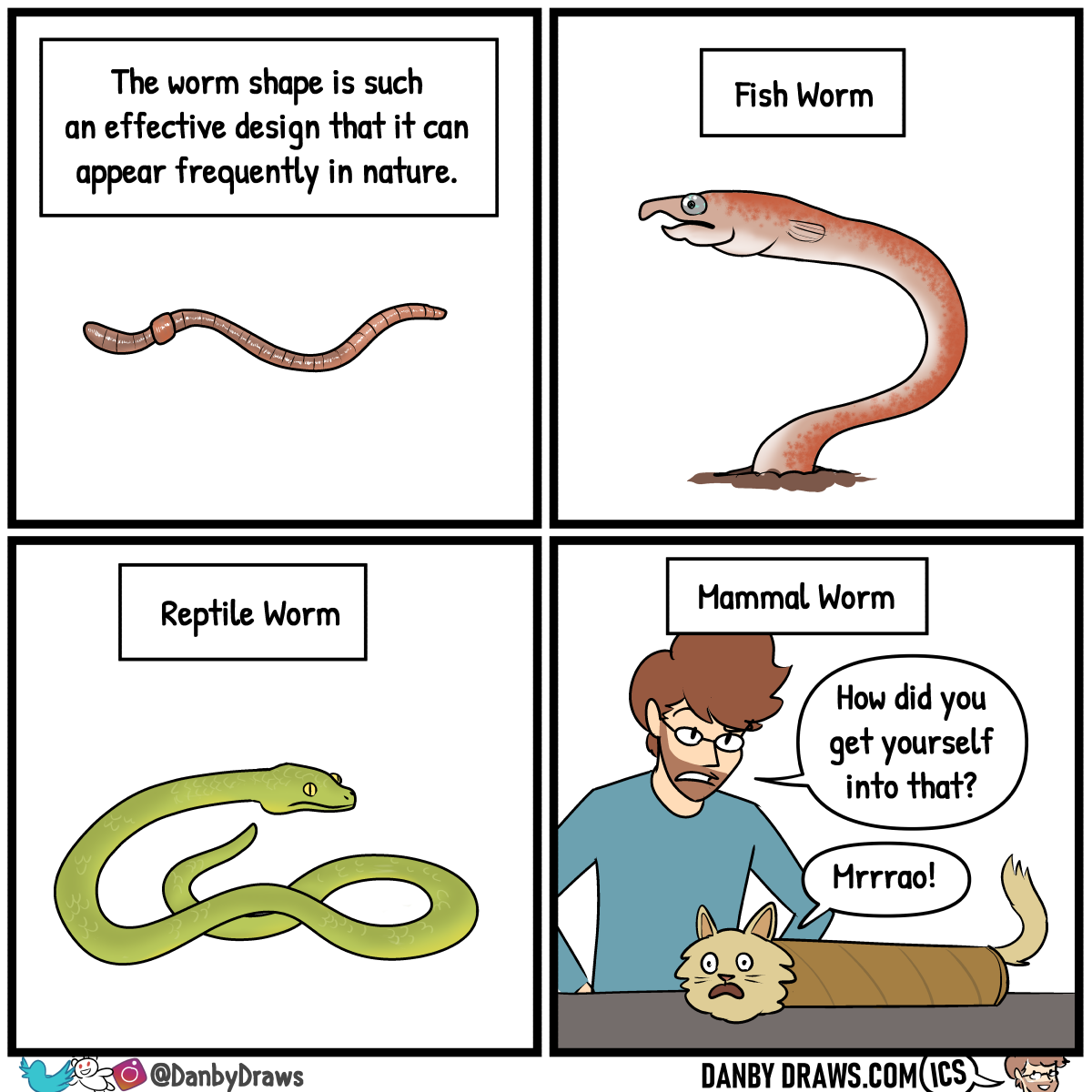 Late Worm